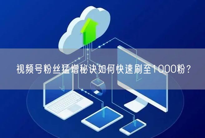 视频号粉丝猛增秘诀如何快速刷至1000粉?