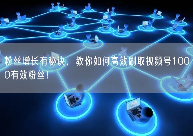 粉丝增长有秘诀,教你如何高效刷取视频号1000有效粉丝!