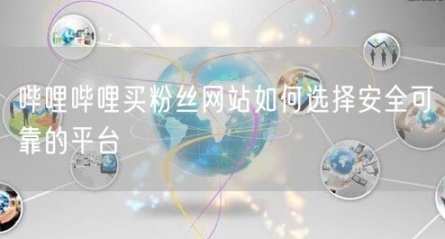 哔哩哔哩买粉丝网站如何选择安全可靠的平台