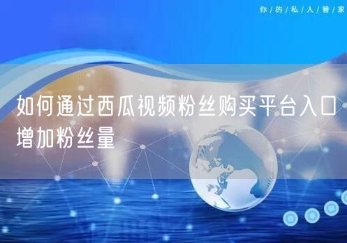 如何通过西瓜视频粉丝购买平台入口增加粉丝量