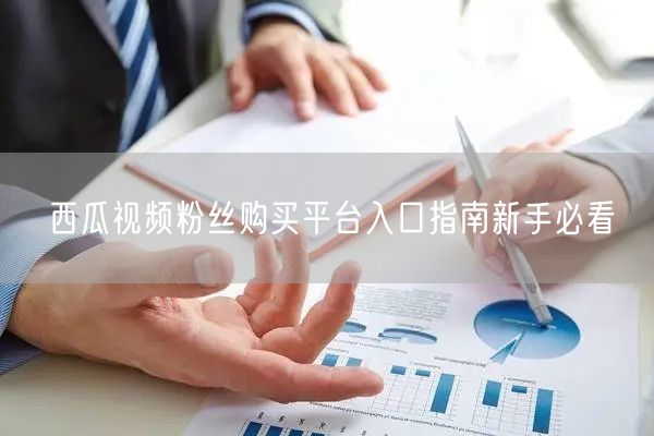 西瓜视频粉丝购买平台入口指南新手必看