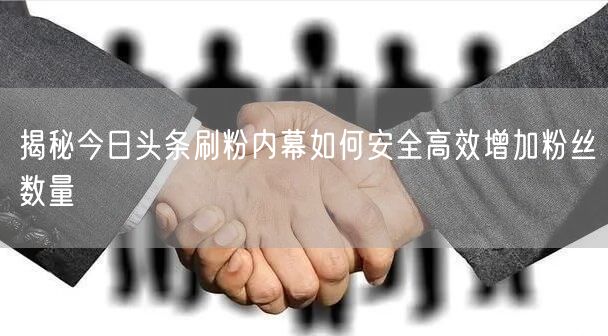 揭秘今日头条刷粉内幕如何安全高效增加粉丝数量