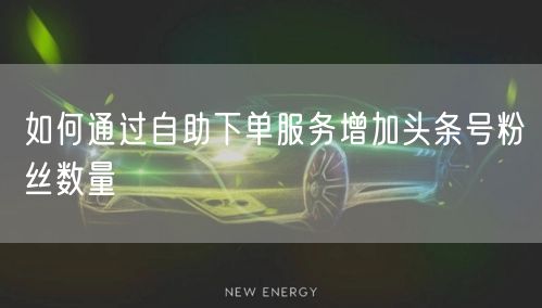 如何通过自助下单服务增加头条号粉丝数量