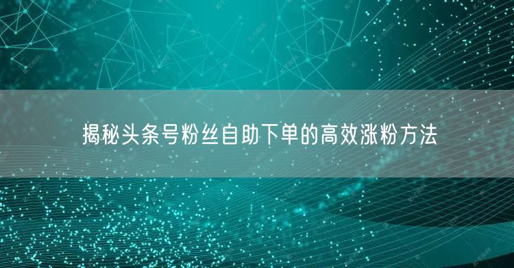 揭秘头条号粉丝自助下单的高效涨粉方法