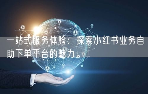 一站式服务体验：探索小红书业务自助下单平台的魅力。