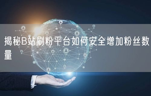 揭秘B站刷粉平台如何安全增加粉丝数量