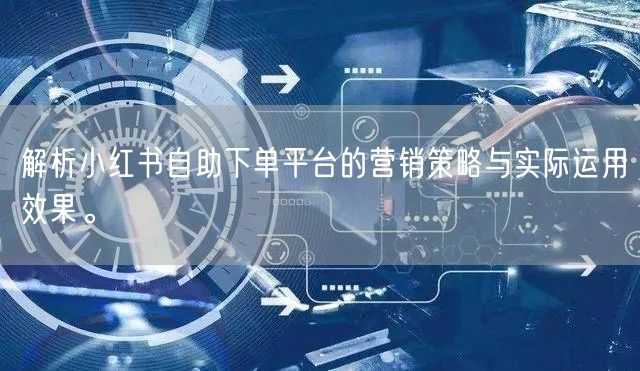 解析小红书自助下单平台的营销策略与实际运用效果。