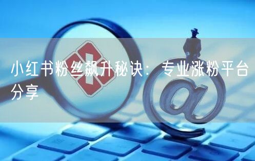 小红书粉丝飙升秘诀：专业涨粉平台分享