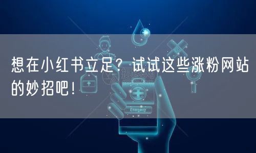 想在小红书立足？试试这些涨粉网站的妙招吧！