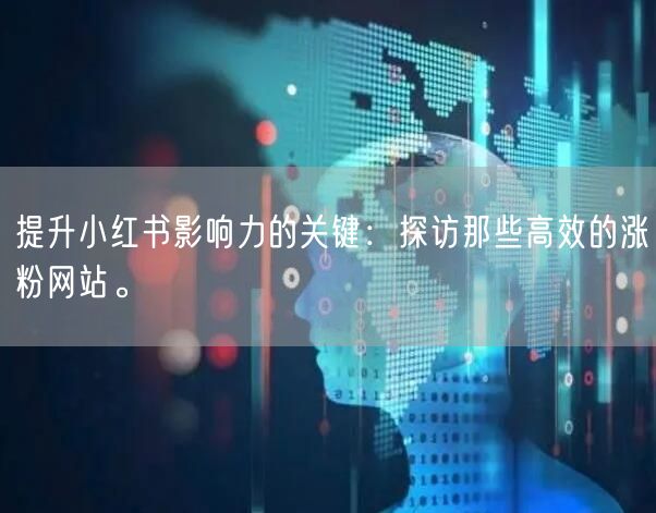 提升小红书影响力的关键：探访那些高效的涨粉网站。