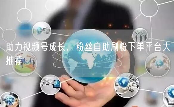 助力视频号成长,粉丝自助刷粉下单平台大推荐