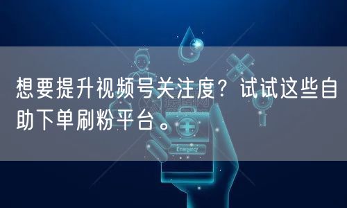 想要提升视频号关注度？试试这些自助下单刷粉平台。
