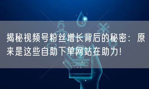 揭秘视频号粉丝增长背后的秘密:原来是这些自助下单网站在助力!