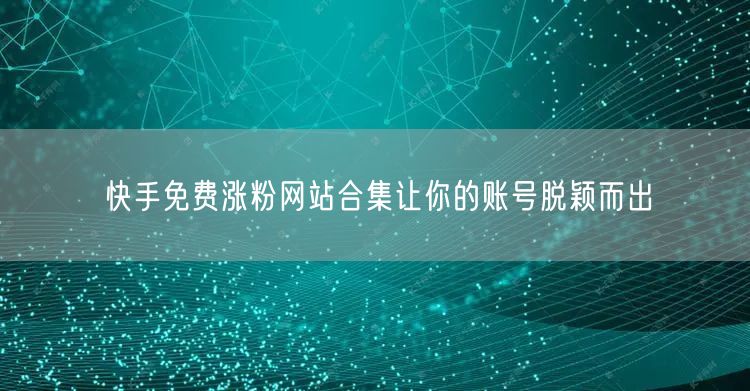 快手免费涨粉网站合集让你的账号脱颖而出