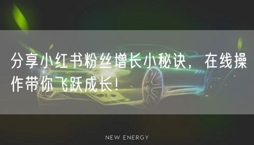 分享小红书粉丝增长小秘诀，在线操作带你飞跃成长！