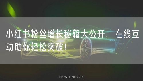 小红书粉丝增长秘籍大公开，在线互动助你轻松突破！