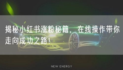 揭秘小红书涨粉秘籍，在线操作带你走向成功之路！