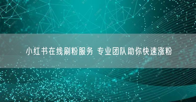小红书在线刷粉服务 专业团队助你快速涨粉