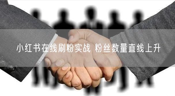 小红书在线刷粉实战 粉丝数量直线上升