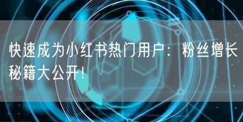 快速成为小红书热门用户：粉丝增长秘籍大公开！