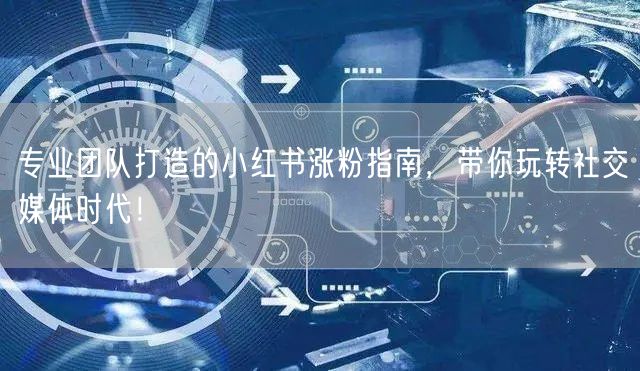 专业团队打造的小红书涨粉指南，带你玩转社交媒体时代！