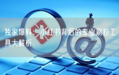 独家爆料：小红书背后的专业刷粉工具大解析