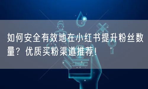 如何安全有效地在小红书提升粉丝数量？优质买粉渠道推荐！