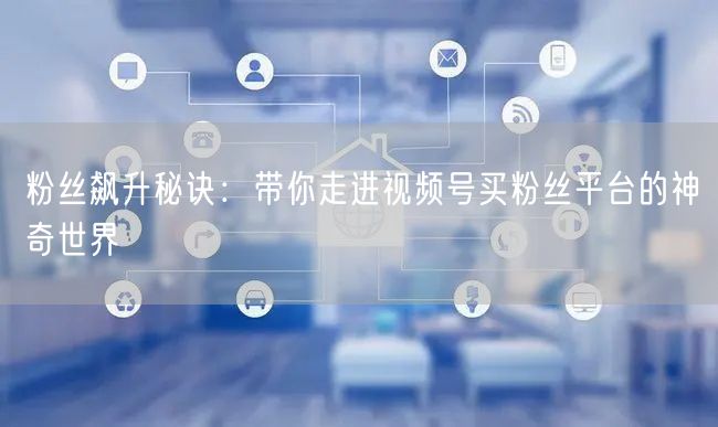 粉丝飙升秘诀:带你走进视频号买粉丝平台的神奇世界