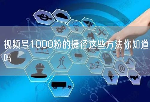 视频号1000粉的捷径这些方法你知道吗