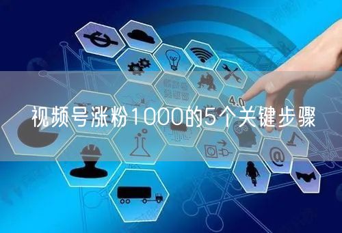 视频号涨粉1000的5个关键步骤