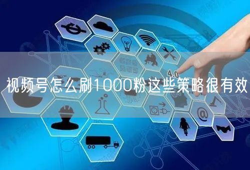 视频号怎么刷1000粉这些策略很有效