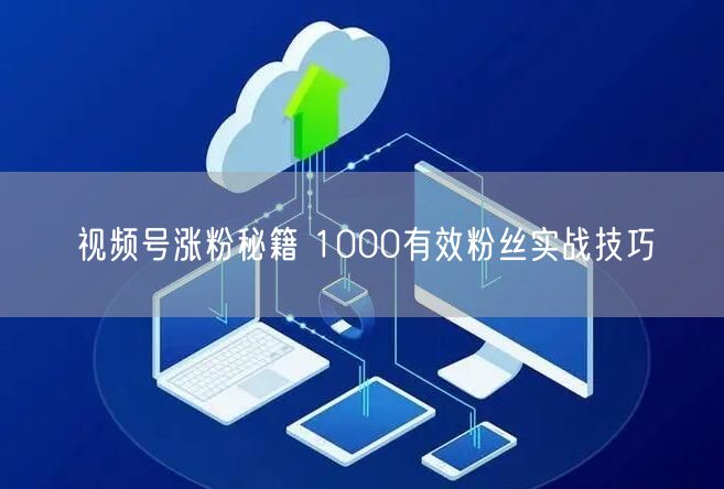 视频号涨粉秘籍 1000有效粉丝实战技巧