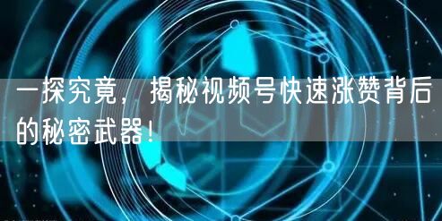 一探究竟,揭秘视频号快速涨赞背后的秘密武器!