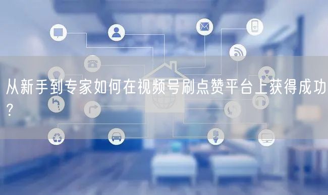 从新手到专家如何在视频号刷点赞平台上获得成功?